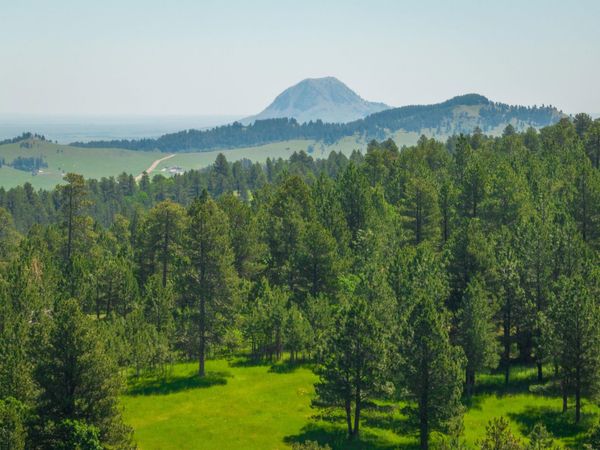 TBD Acorn Ridge Road, Whitewood, SD 57783