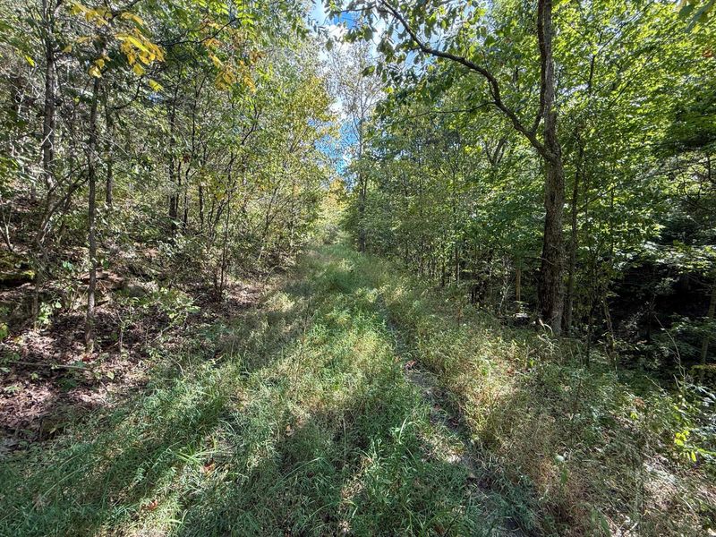 4725 Bald Knob Road, Frankfort, KY 40601 Photo 10
