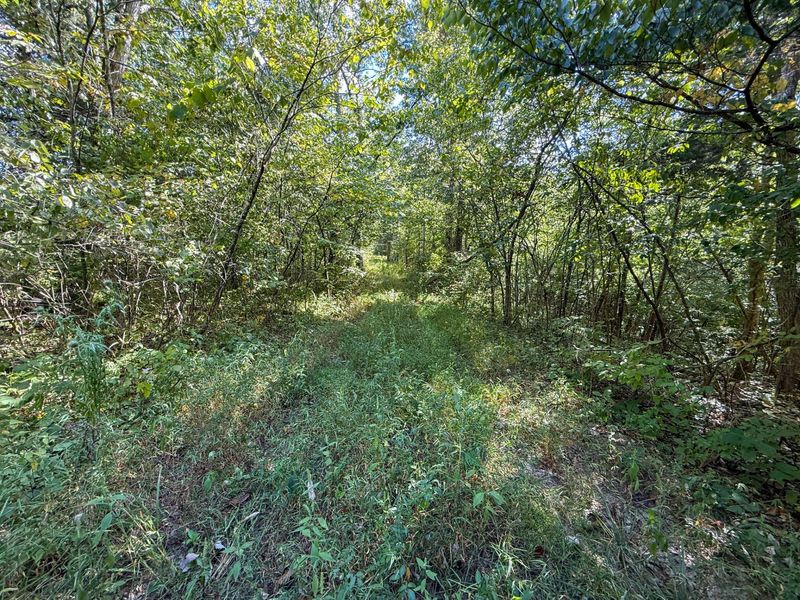 4725 Bald Knob Road, Frankfort, KY 40601 Photo 11