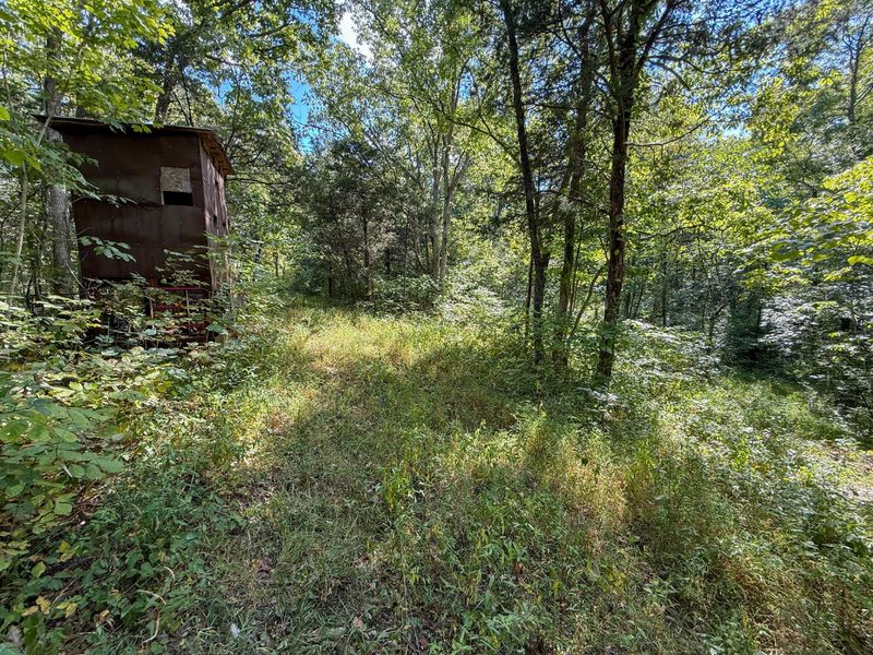 4725 Bald Knob Road, Frankfort, KY 40601 Photo 12