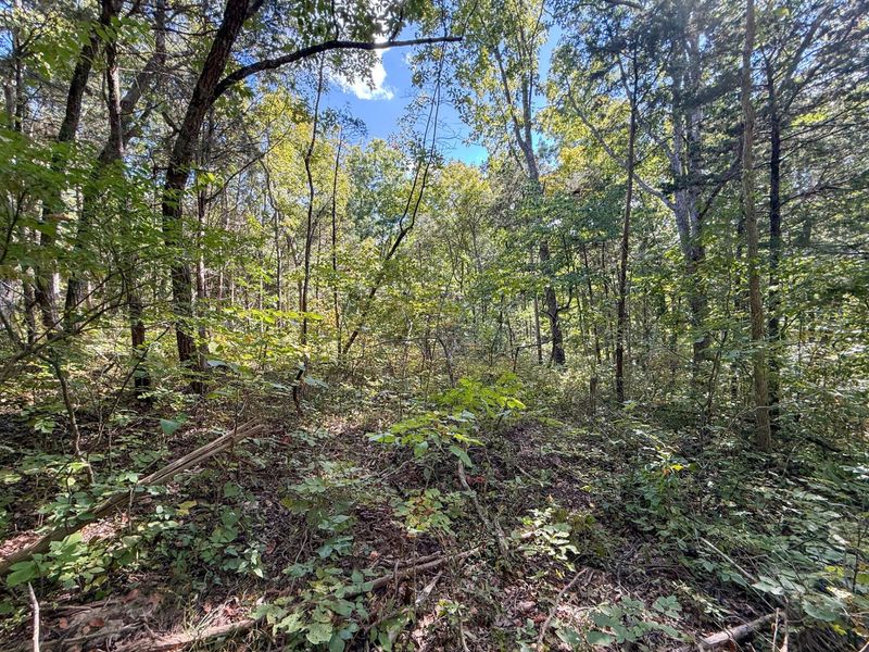 4725 Bald Knob Road, Frankfort, KY 40601 Photo 13