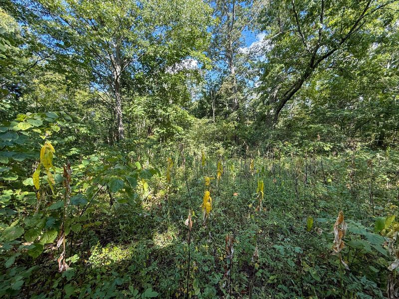 4725 Bald Knob Road, Frankfort, KY 40601 Photo 14