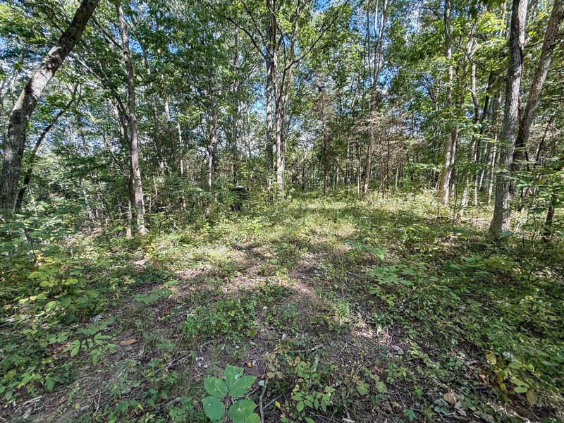 4725 Bald Knob Road, Frankfort, KY 40601 Photo 15