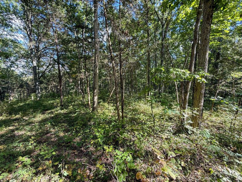 4725 Bald Knob Road, Frankfort, KY 40601 Photo 16