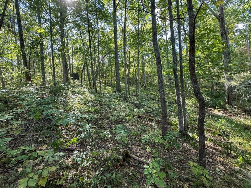 4725 Bald Knob Road, Frankfort, KY 40601 Photo 17