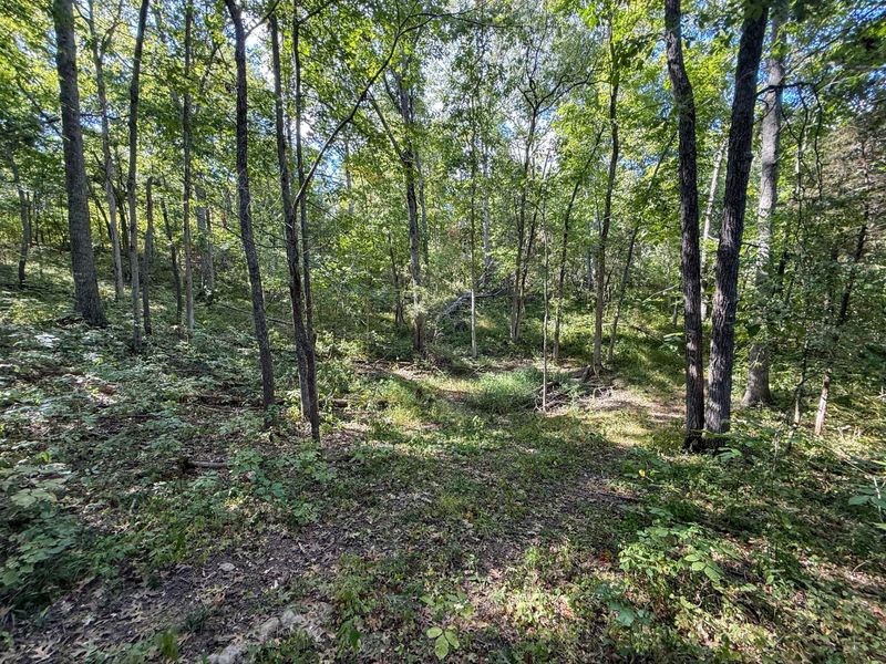 4725 Bald Knob Road, Frankfort, KY 40601 Photo 19