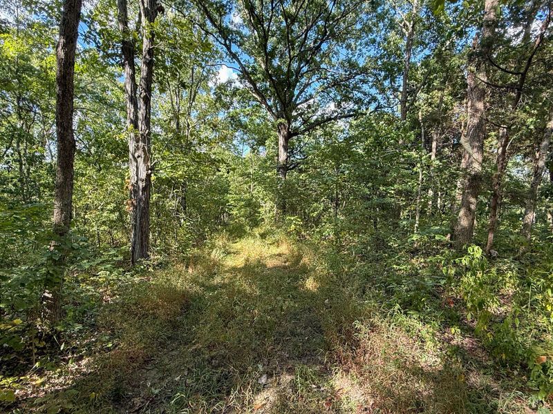 4725 Bald Knob Road, Frankfort, KY 40601 Photo 2