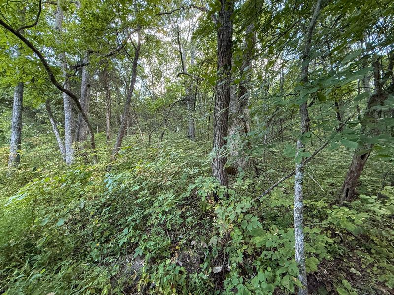 4725 Bald Knob Road, Frankfort, KY 40601 Photo 21