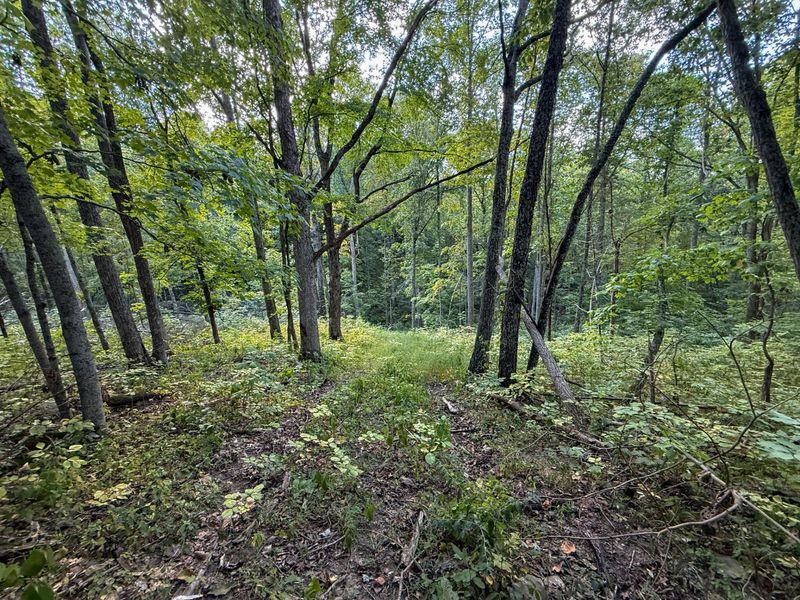 4725 Bald Knob Road, Frankfort, KY 40601 Photo 24