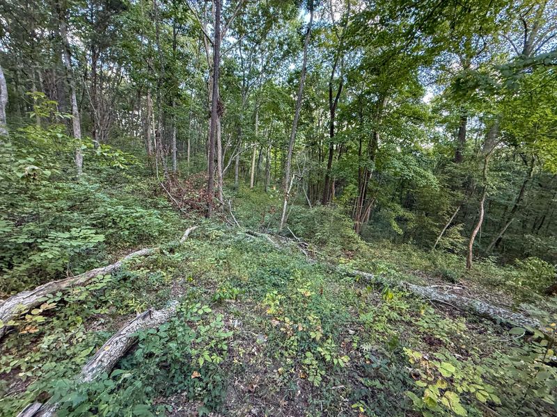 4725 Bald Knob Road, Frankfort, KY 40601 Photo 25