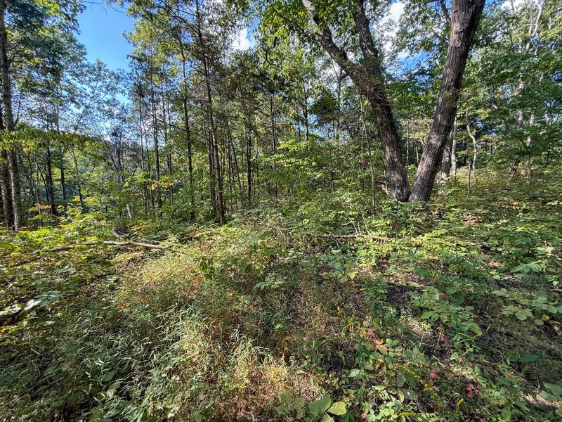 4725 Bald Knob Road, Frankfort, KY 40601 Photo 26