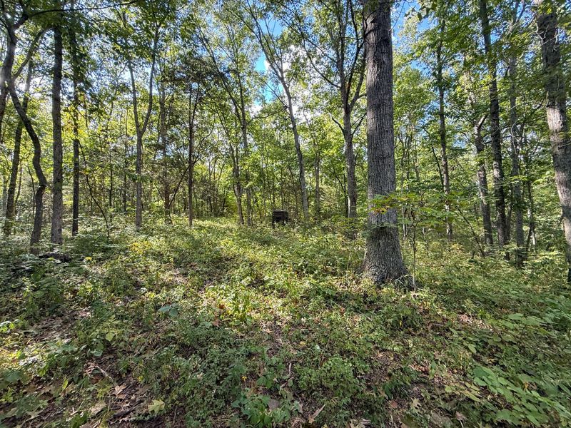 4725 Bald Knob Road, Frankfort, KY 40601 Photo 3