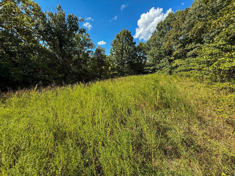 4725 Bald Knob Road, Frankfort, KY 40601 Photo 5