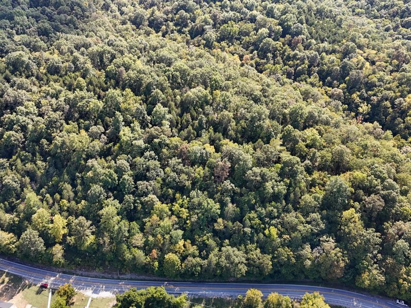 4725 Bald Knob Road, Frankfort, KY 40601 Photo 8