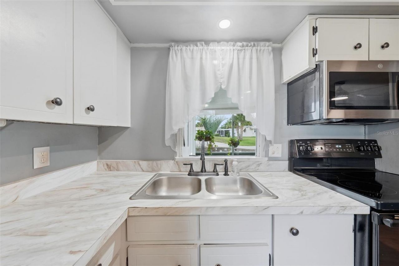 928 Morningview Drive, Tavares, FL 32778 Photo