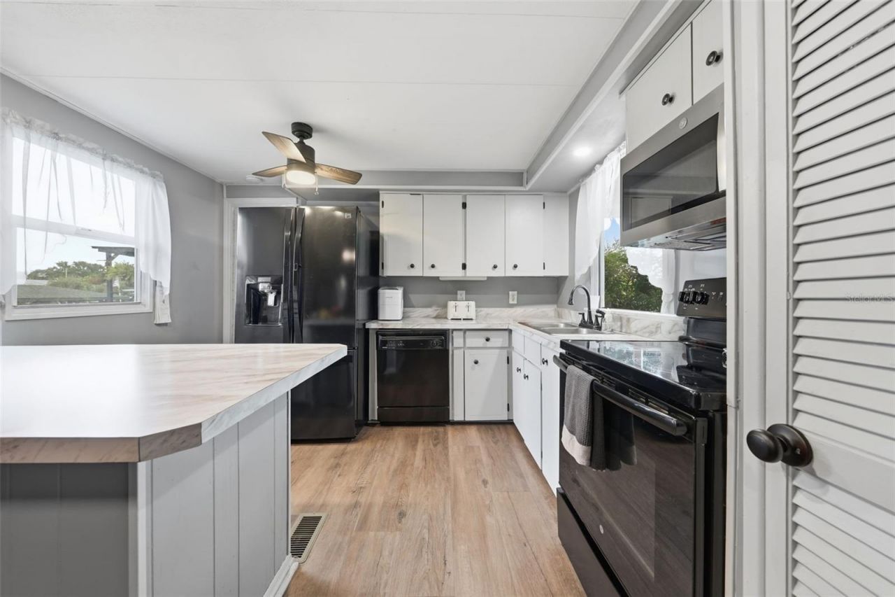 928 Morningview Drive, Tavares, FL 32778 Photo