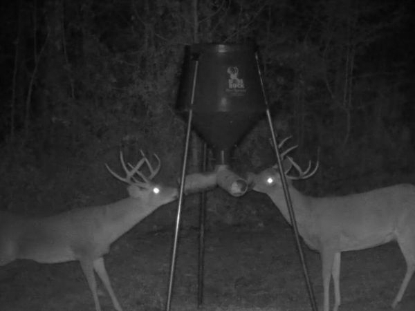 Storey Parkman, Oak Vale, MS 39656
