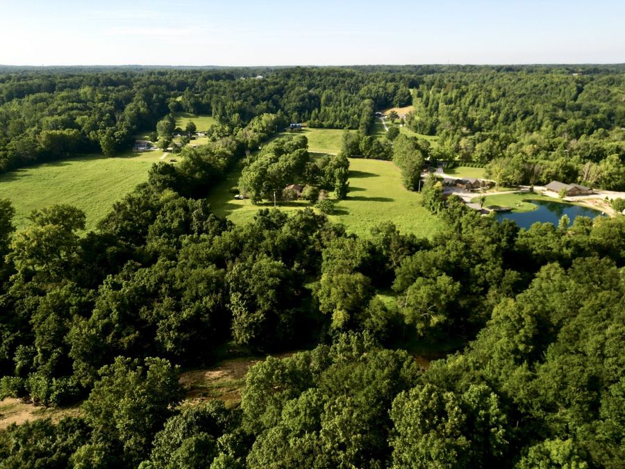 Property Image 100