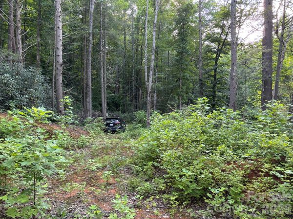 Lot 41 Peace Wood Lane , Hendersonville, NC 28792