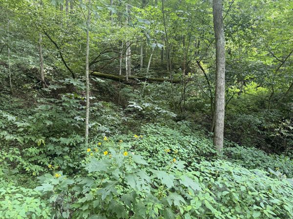 00 Horsepen Road, Sevierville, TN 37876