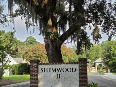 1005 Jack Snipe Lane, Mount Pleasant, SC 29464