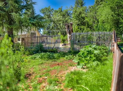 2963 Five Mile Rd, Placerville, CA 95667 Photo
