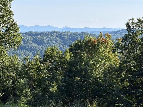 000 Carriage House Trail , Unit Lot #157, McGrady, NC 28649