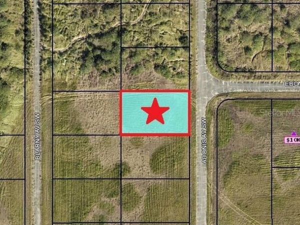 2524 ADONIS AVENUE SW, PALM BAY, FL 32908