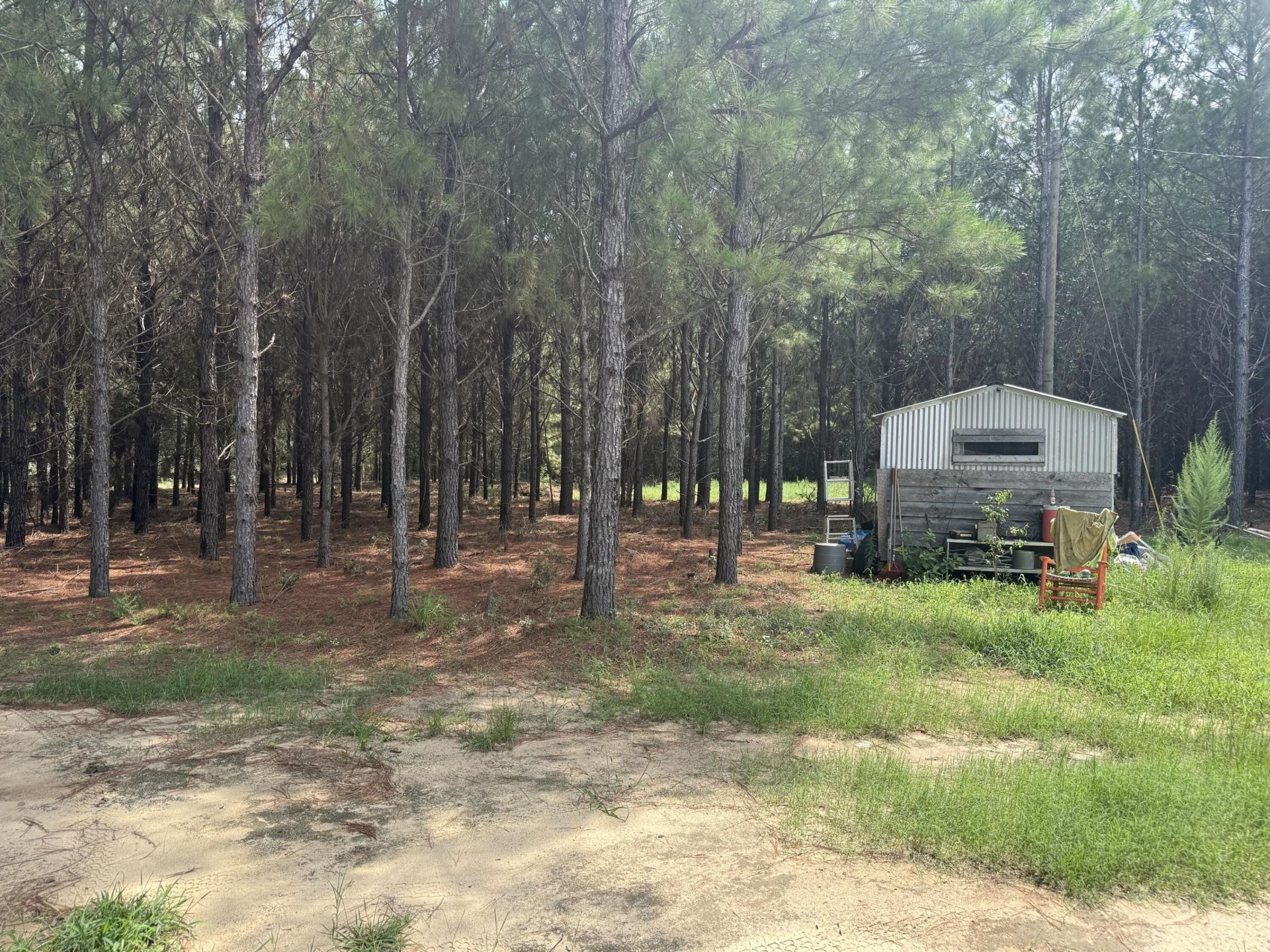 187 Tiny Lane Photo 5