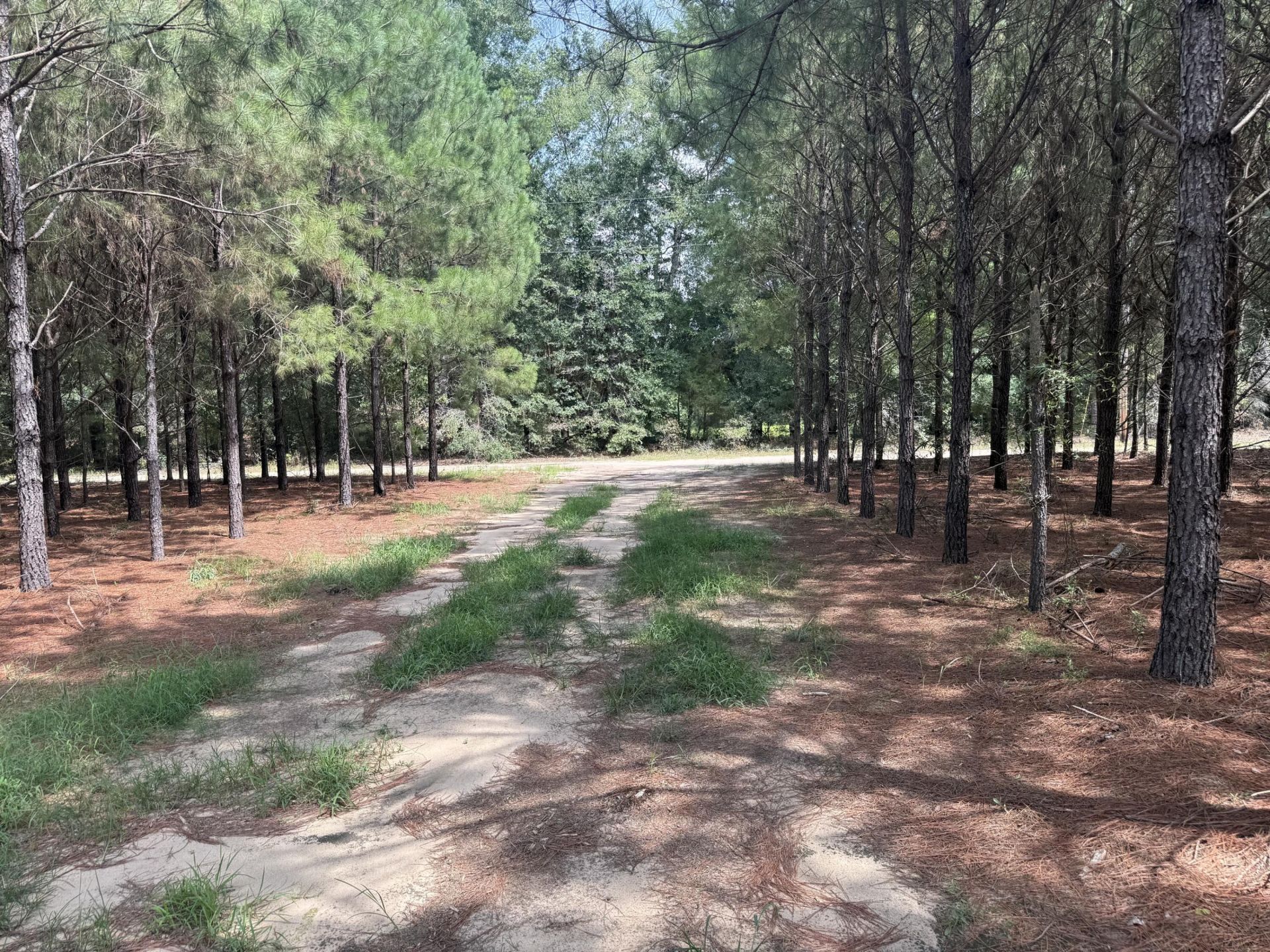 187 Tiny Lane Photo 8
