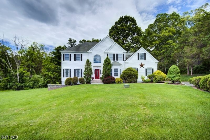16 Ramshorn Rd, Alexandria, NJ 08848 Main Photo