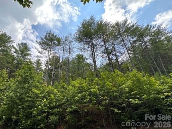 TBD Rock Cliff Drive, Collettsville, NC 28611