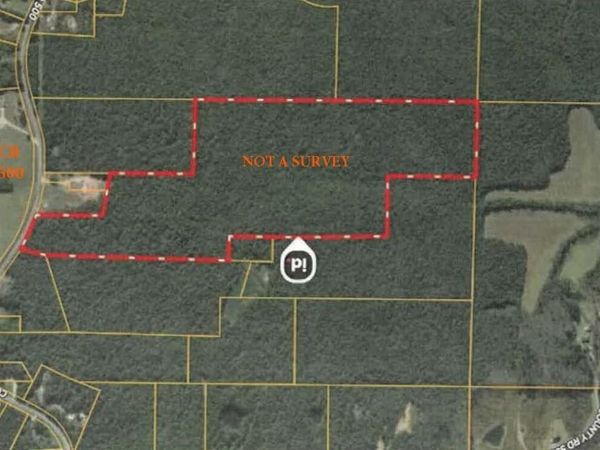 County Road 500, Rienzi, MS 38865