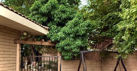 1616 Belarra Drive, Minden, NV 89423 Photo