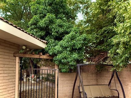 1616 Belarra Drive, Minden, NV 89423 Photo
