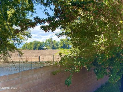 1616 Belarra Drive, Minden, NV 89423 Photo