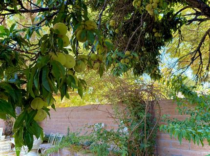 1616 Belarra Drive, Minden, NV 89423 Photo