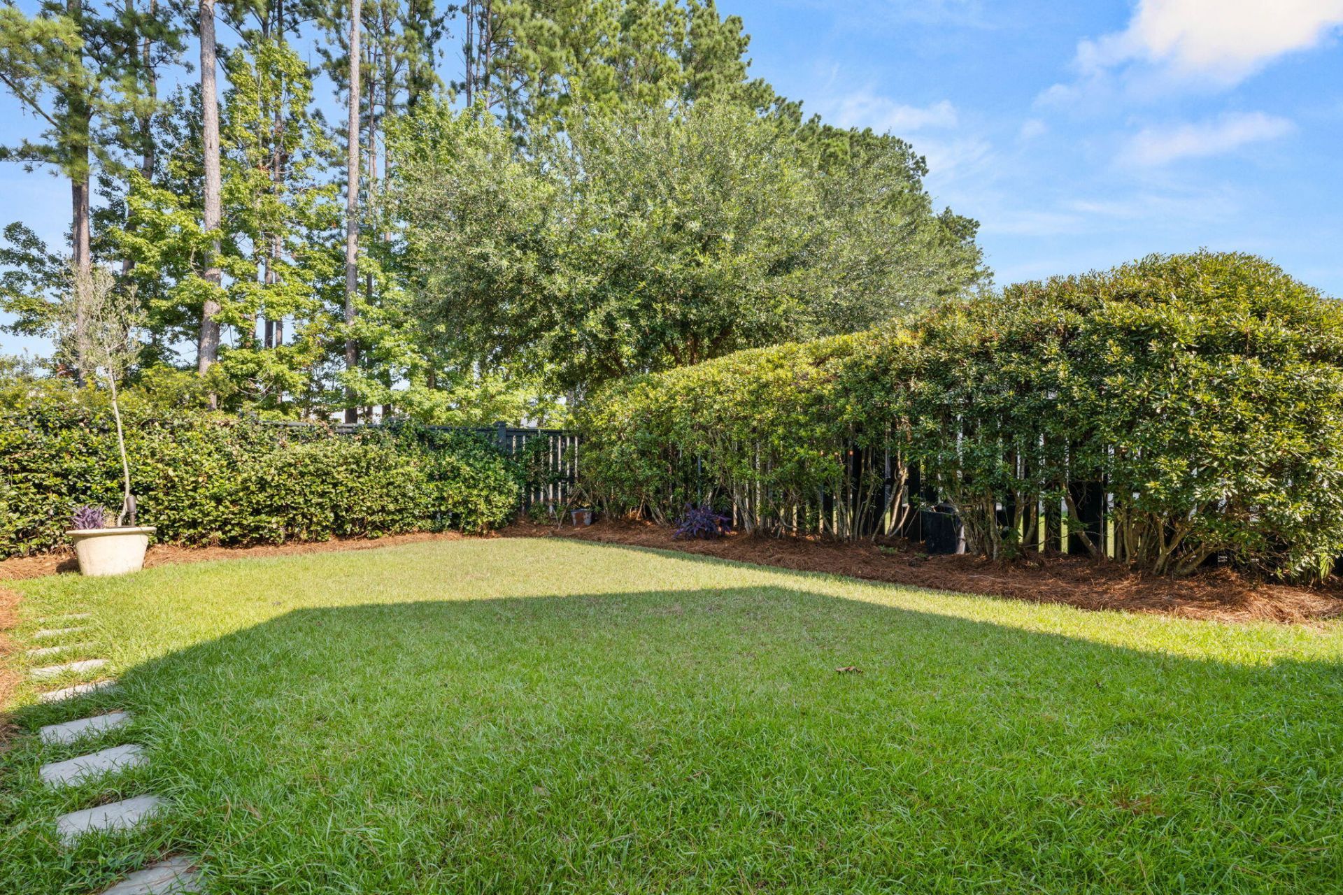 239 Scholar Way Photo 33