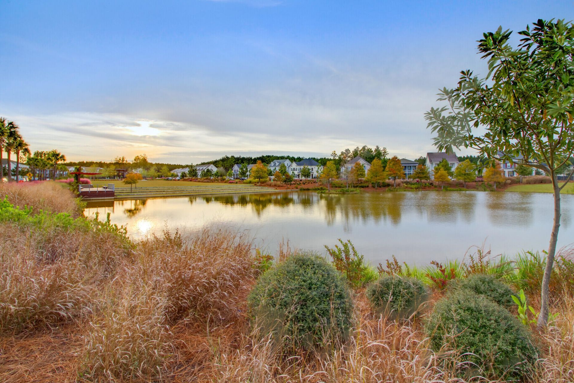 239 Scholar Way Photo 36