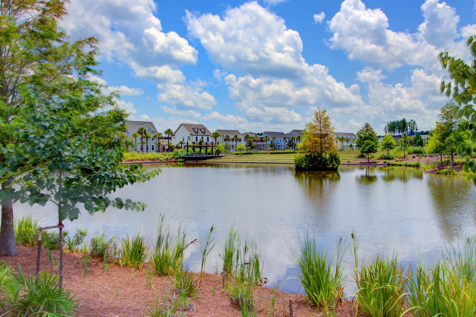 239 Scholar Way Photo 37