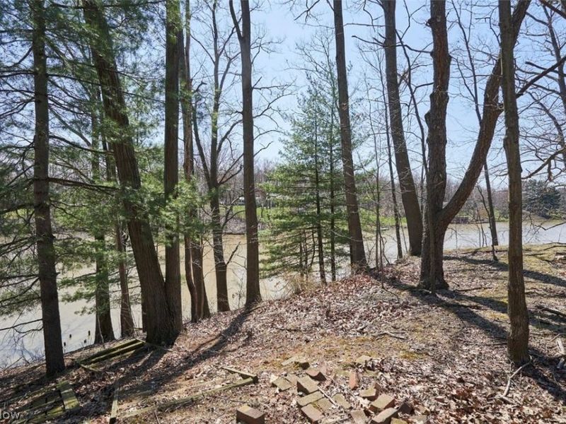 Callender Road, Roaming Shores, OH 44084 Photo 4