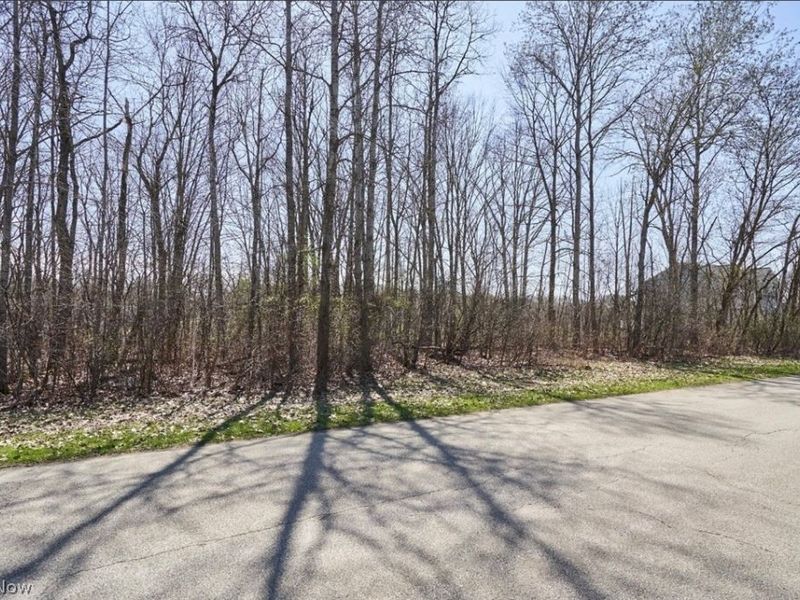 Callender Road, Roaming Shores, OH 44084 Photo 5