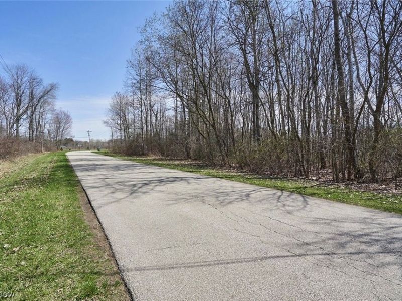 Callender Road, Roaming Shores, OH 44084 Photo 6