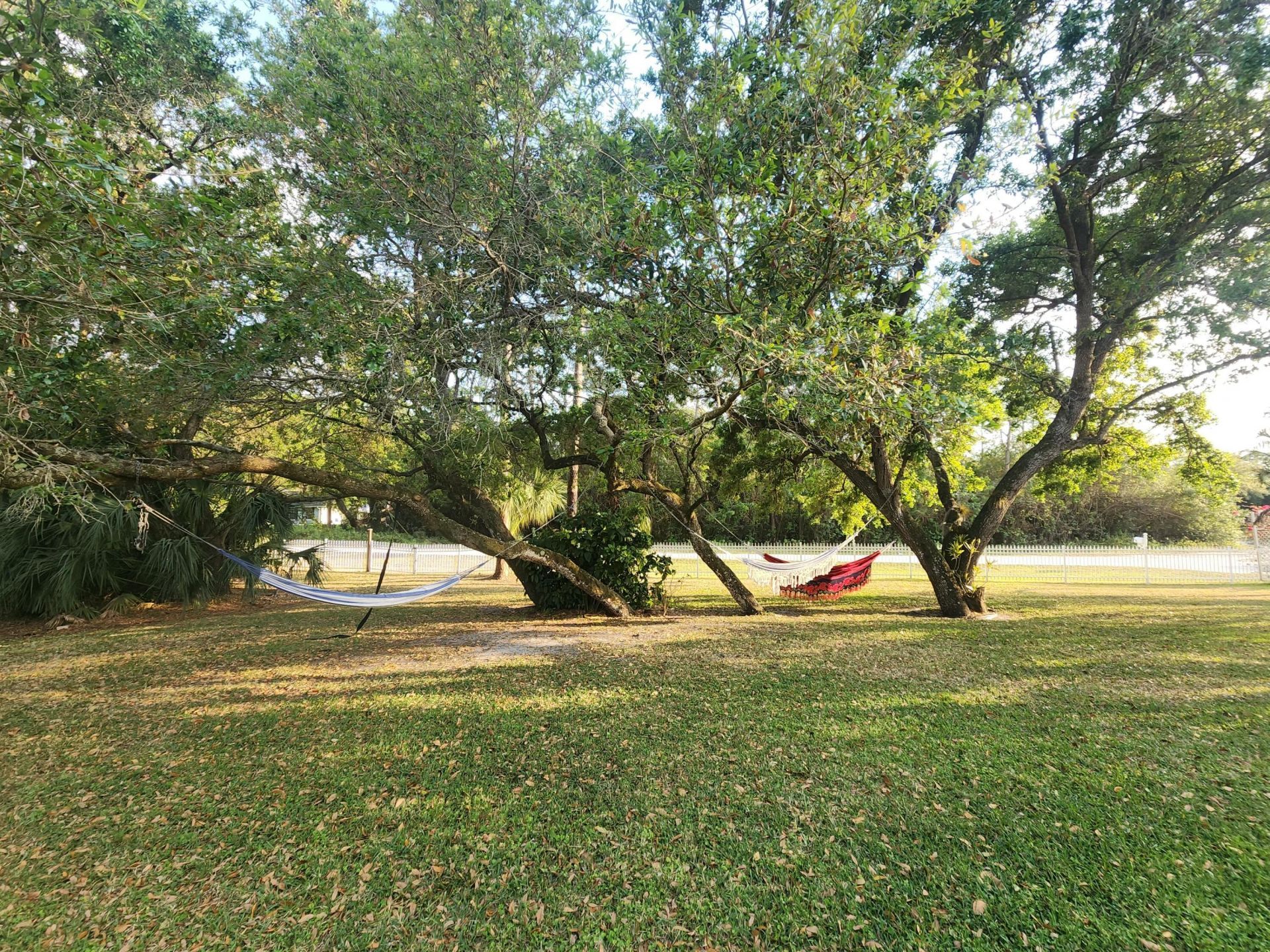 16975 83rd Place N, The Acreage, FL 33470 Photo