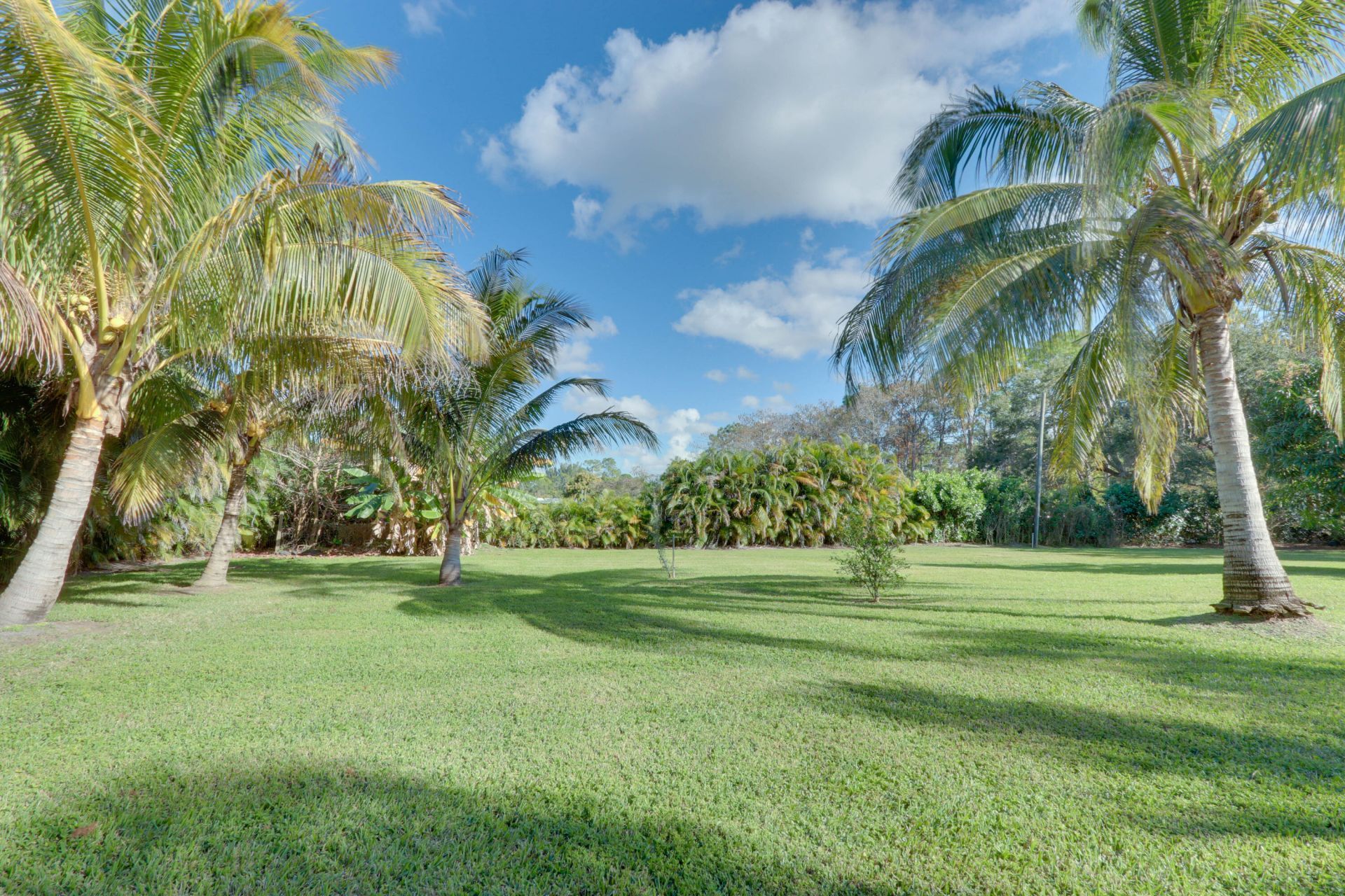 16975 83rd Place N, The Acreage, FL 33470 Photo