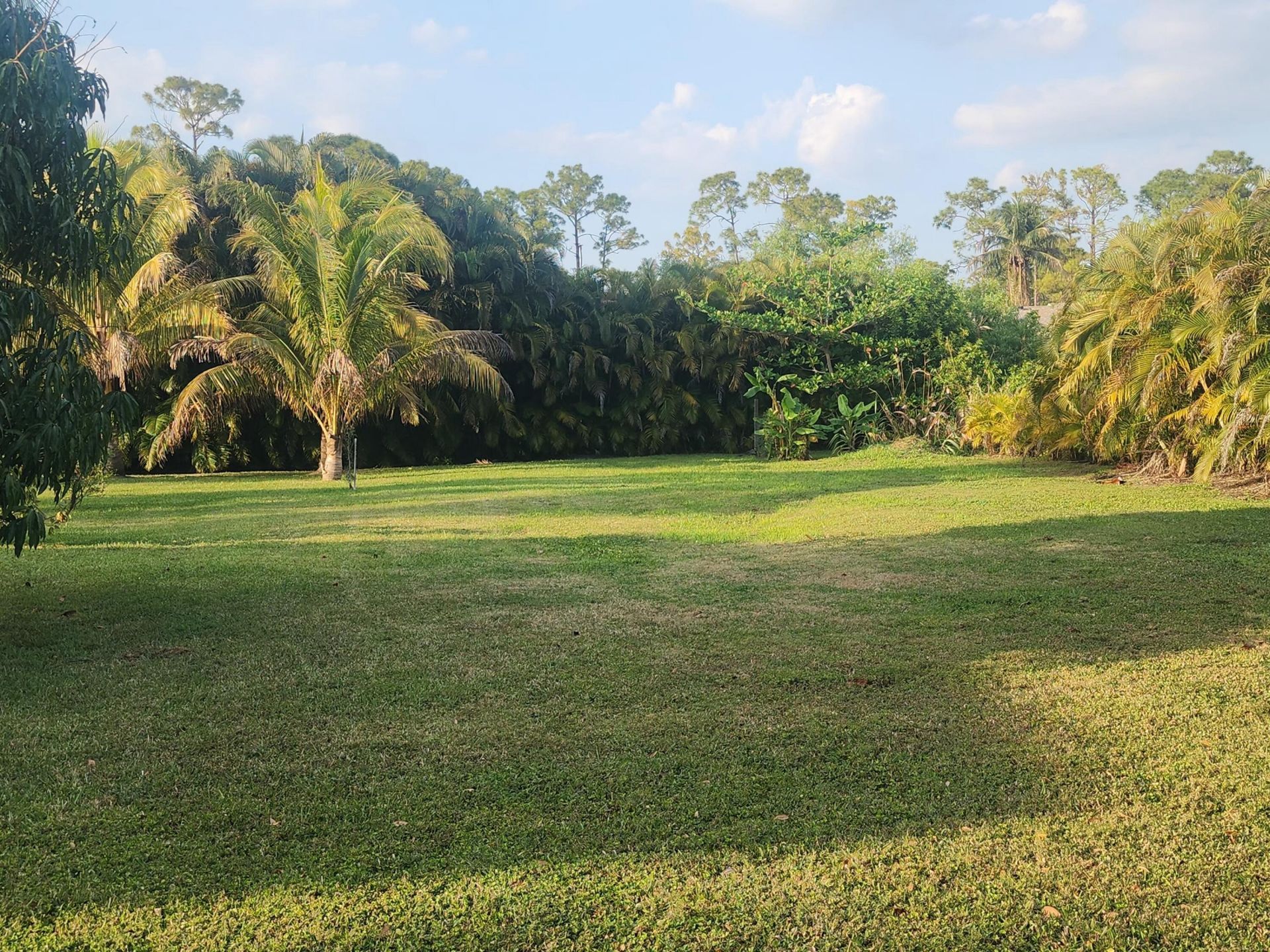 16975 83rd Place N, The Acreage, FL 33470 Photo