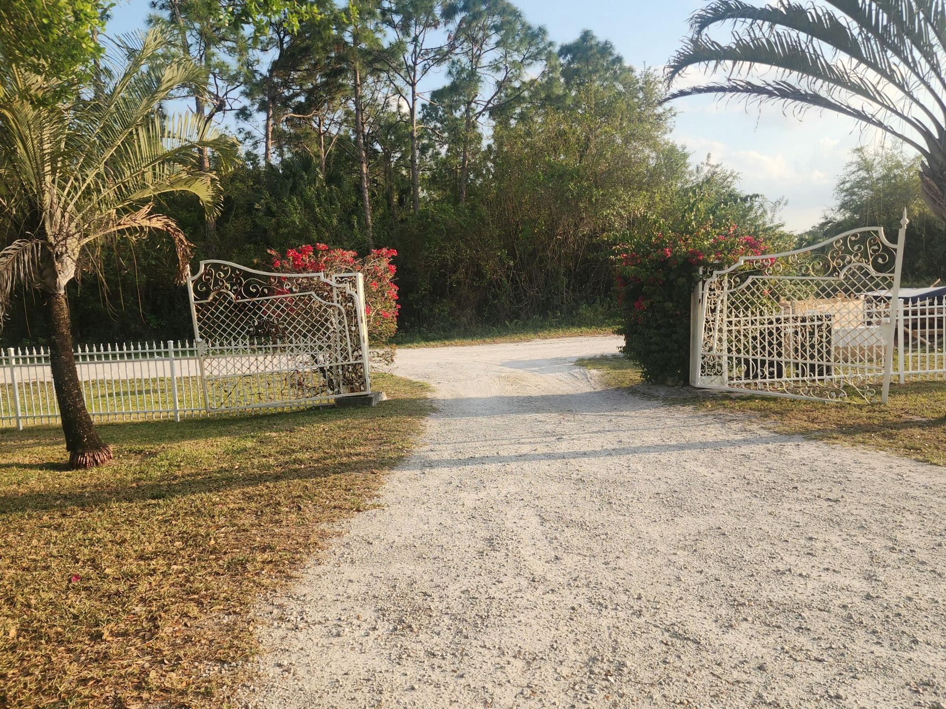 16975 83rd Place N, The Acreage, FL 33470 Photo