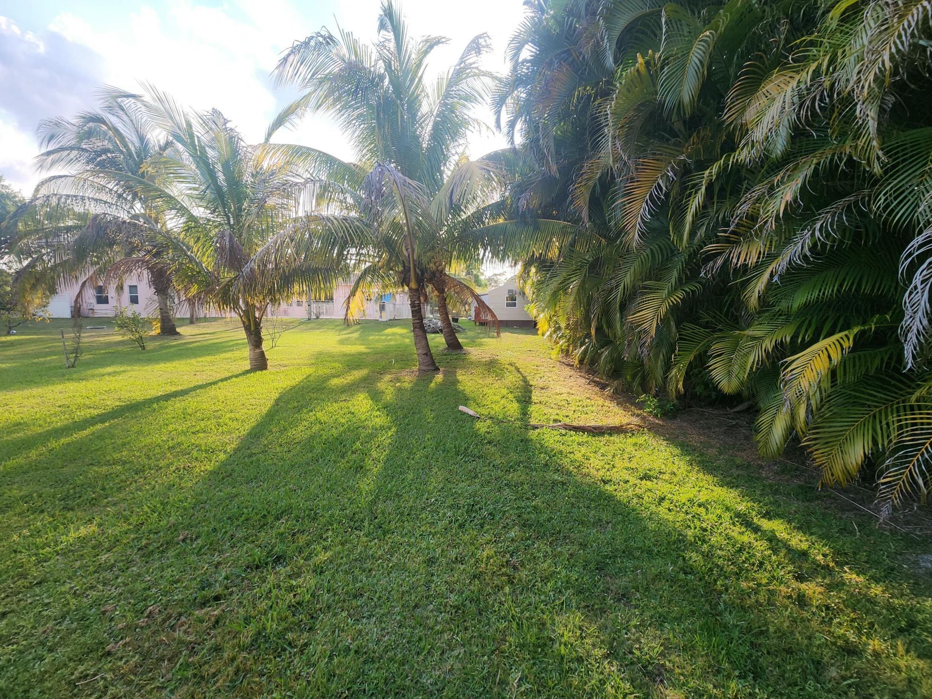 16975 83rd Place N, The Acreage, FL 33470 Photo