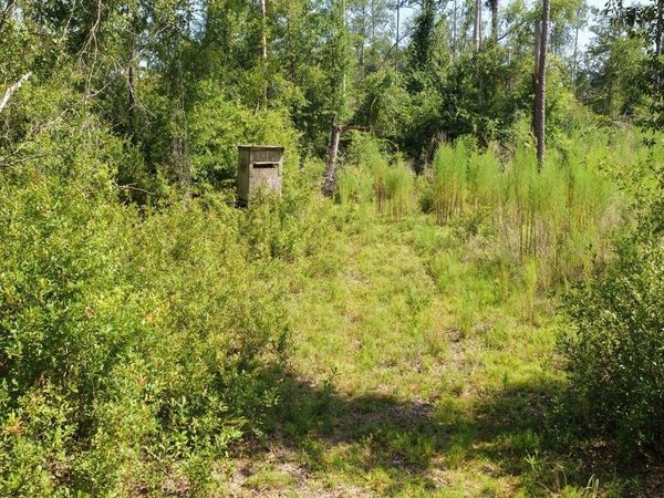 000 SW TOWER ROAD, Madison, FL 32340