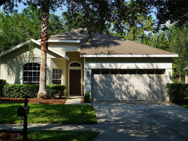 19131 CYPRESS REACH LANE , TAMPA, FL 33647